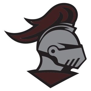 Fundraising Page: Liam Solares